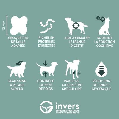Croquettes aux insectes pour chien sénior (à partir de 8 ans) - Invers