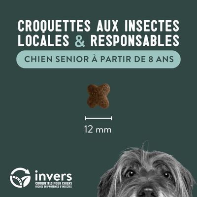 Croquettes aux insectes pour chien sénior (à partir de 8 ans) - Invers