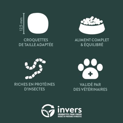 Croquettes aux insectes pour chien de petite taille - Invers