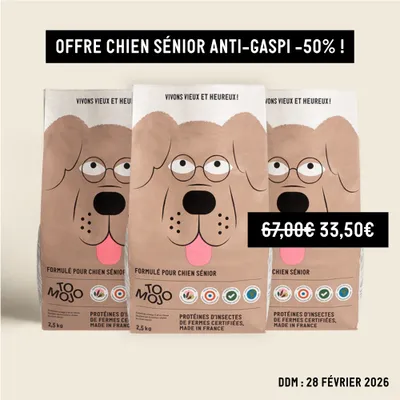 Croquettes aux insectes pour chien sénior - Tomojo Croquettes aux insectes pour chien sénior - Tomojo