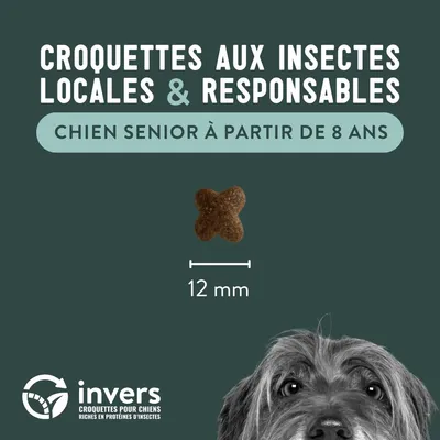 Croquettes aux insectes pour chien sénior (à partir de 8 ans) - Invers