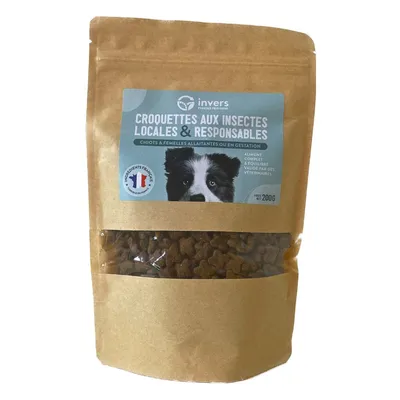 Croquettes aux insectes pour chiots et femelles allaitantes - Invers Croquettes aux insectes pour chiots et femelles allaitantes - Invers