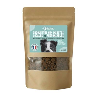 Croquettes aux insectes pour chiots et femelles allaitantes - Invers