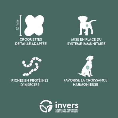 Croquettes aux insectes pour chiots et femelles allaitantes - Invers