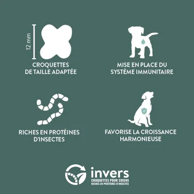 Croquettes aux insectes pour chiots et femelles allaitantes - Invers