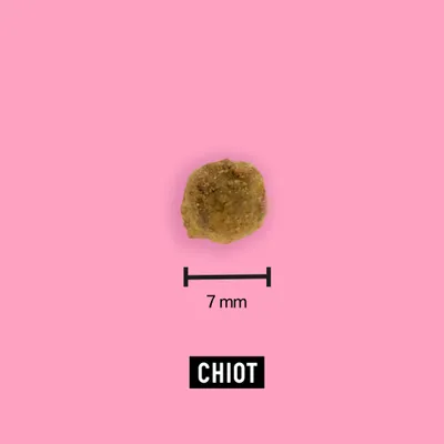 Croquettes aux insectes pour chiots - Tomojo