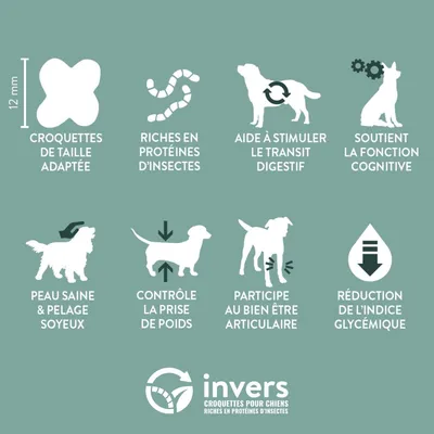 Croquettes aux insectes pour chien sénior (à partir de 8 ans) - Invers