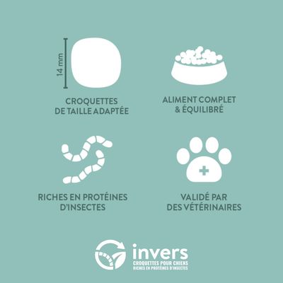 Croquettes aux insectes pour chien de taille moyenne - Invers
