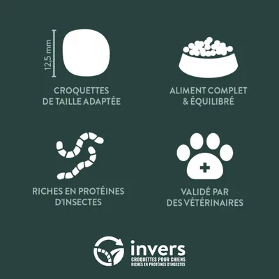 Croquettes aux insectes pour chien de petite taille - Invers