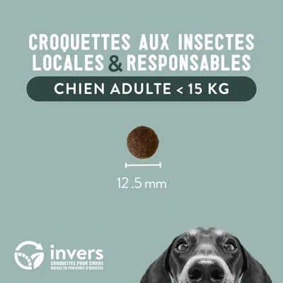 Croquettes aux insectes pour chien de petite taille - Invers