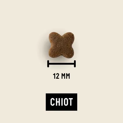Croquettes aux insectes pour chiots - Tomojo Croquettes aux insectes pour chiots - Tomojo