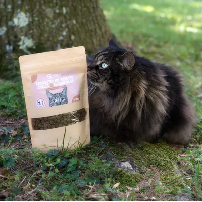 Croquettes aux insectes pour chat adulte stérilisé - Invers