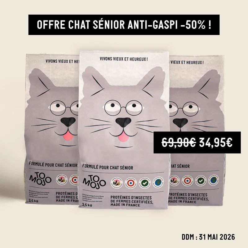 Croquettes aux insectes pour chat sénior - Tomojo