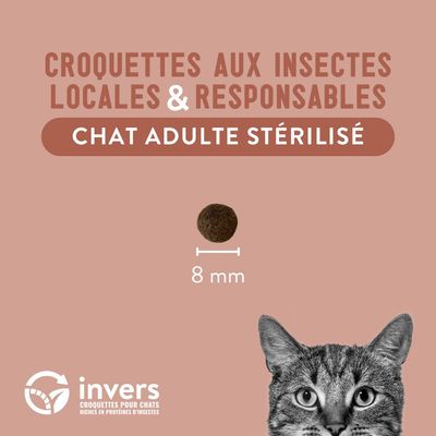 Croquettes aux insectes pour chat adulte stérilisé - Invers