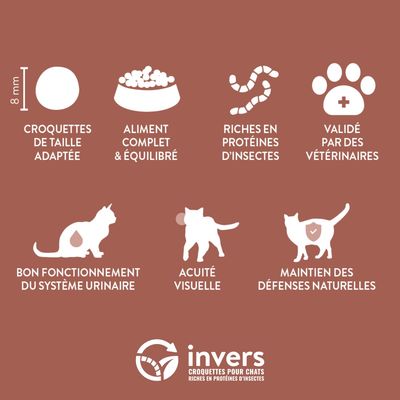 Croquettes aux insectes pour chat adulte stérilisé - Invers