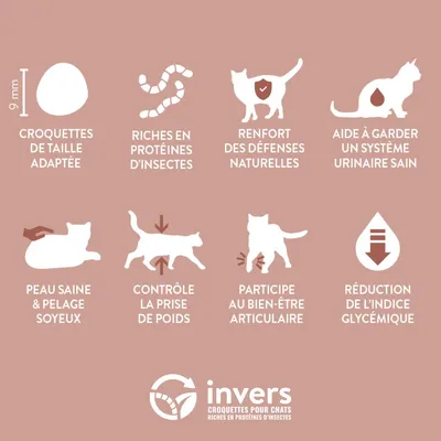 Croquettes aux insectes pour chat sénior - Invers
