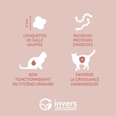 Croquettes aux insectes pour chatons et femelles allaintantes - Invers