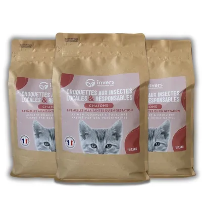 Croquettes aux insectes pour chatons et femelles allaintantes - Invers Croquettes aux insectes pour chatons et femelles allaintantes - Invers