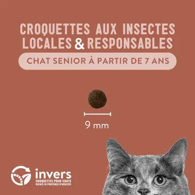 Croquettes aux insectes pour chat sénior - Invers