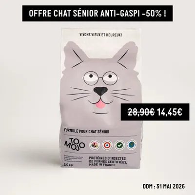 Croquettes aux insectes pour chat sénior - Tomojo