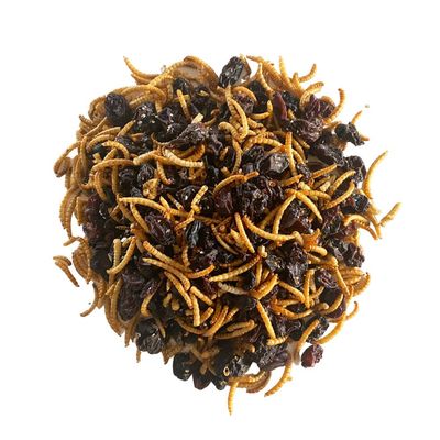 Mélange de vers de farine et de raisins secs pour oiseaux  - Invers