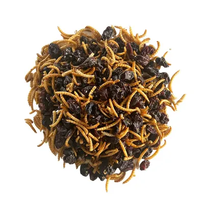Mélange de vers de farine et de raisins secs pour oiseaux  - Invers