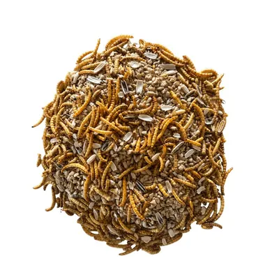 Mélange de vers de farine et de tournesol décortiqué pour oiseaux - Invers Mélange de vers de farine et de tournesol décortiqué pour oiseaux - Invers