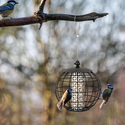 Giantex Mangeoire à Oiseaux à Suspendre 3 KG Résistante aux Intempéries