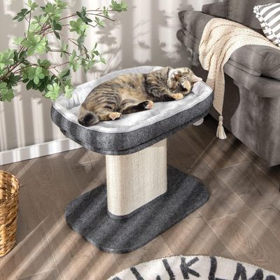 GIANTEX Arbre à Chat 50 CM avec Poteaux, Nid Confortable et Boule Suspendue