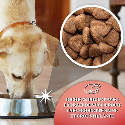 Croquettes chien adulte grande race – Gilpa Kennel