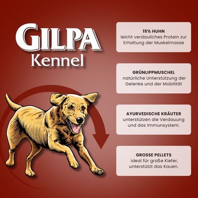 Gilpa Kennel Trockenfutter für ausgewachsene Hunde großer Rassen