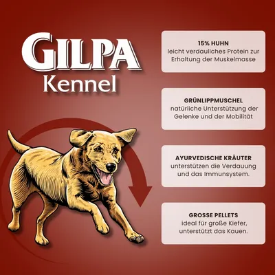 Gilpa Kennel Trockenfutter für ausgewachsene Hunde großer Rassen Gilpa Kennel Trockenfutter für ausgewachsene Hunde großer Rassen