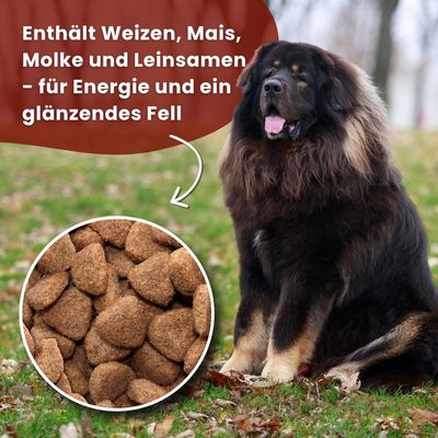 Gilpa Kennel Trockenfutter für ausgewachsene Hunde großer Rassen