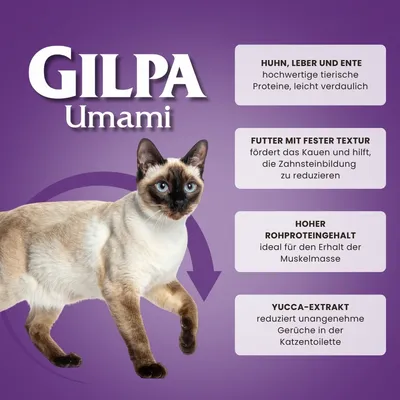 Gilpa Umami Trockenfutter für ausgewachsene Katzen aller Rassen – 15 kg