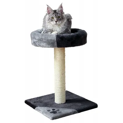 Arbre à chat, taille 35 x 35 cm, hauteur 52 cm, Tarifa, couleur  et gri