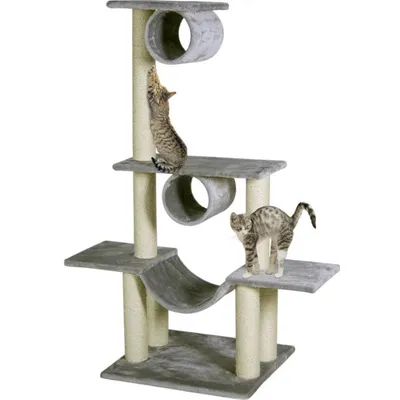 animallparadise - Arbre a chat Amédéo, couleur gris clair,  hauteur 140 cm,