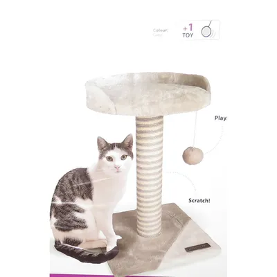 Arbre a chat Clark, 30 x 30 x Hauteur 45 cm, couleur gris