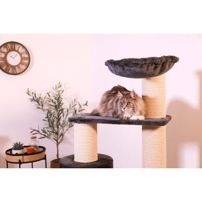 zolux - Arbre à chat Big Cat 3 H 134.5 cm pour grands chats