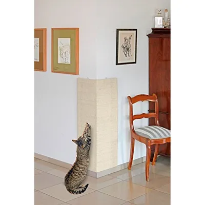 Flamingo - Planche Grattoir Sisal pour Chat, Beige 28 x 52 cm + catnip.