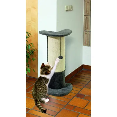 FLAMINGO Griffoir pour chats Santo  71 cm 5334576