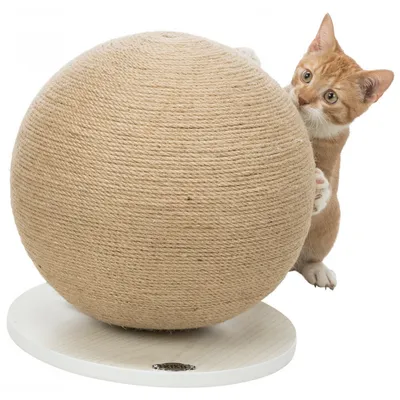 animallparadise - Griffoir boule ø 29 cm, forme rond  pour chat monté sur p