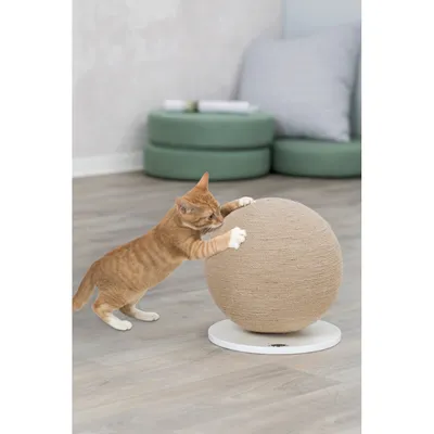 animallparadise - Griffoir boule ø 29 cm, forme rond  pour chat monté sur p