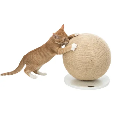 animallparadise - Griffoir boule ø 29 cm, forme rond  pour chat monté sur p