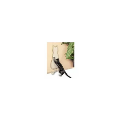 animallparadise - Un griffoir chat 69 cm pour chat