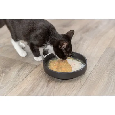 Trixie Friandises pour chat Soupe avec Poulet & Saumon