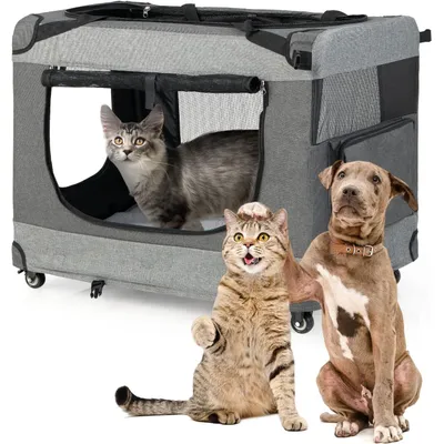 GIANTEX Sac Transport Chat Chien, Caisse de Transport Pliable Respirant GIANTEX Sac Transport Chat Chien, Caisse de Transport Pliable Respirant