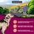 Croquettes chien actif – Arkwrights Sporting