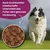 Arkwrights Sporting Trockenfutter für aktive Hunde – 15 kg Arkwrights Sporting Trockenfutter für aktive Hunde – 15 kg