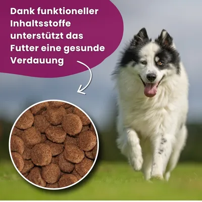 Arkwrights Sporting Trockenfutter für aktive Hunde – 15 kg Arkwrights Sporting Trockenfutter für aktive Hunde – 15 kg