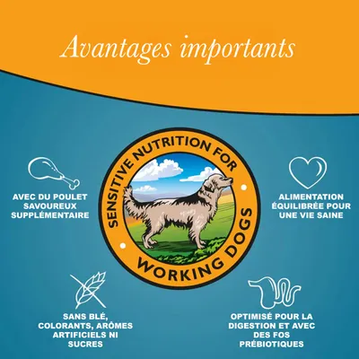 Arkwrights Sensitive